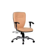 صندلی کارشناسی