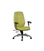 صندلی کارشناسی